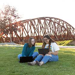 students sitting on a grass in front of a bridge